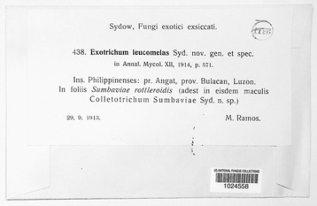 Myrothecium leucomelas image